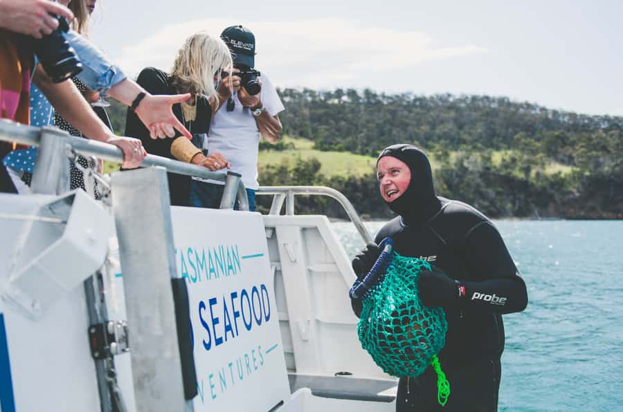Hobart: Ultimate Seafood Cruise on a Spacious Catamaran - The diver-and-crew moment: where the tour turns from food to story