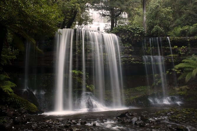 Hobart: Waterfalls, Wilderness & Wildlife - Active Day Tour - A 12-hour nature loop built around your time