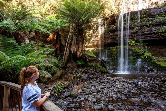 Hobart: Waterfalls, Wilderness & Wildlife - Active Day Tour - Bonorong Wildlife Sanctuary: devils, wombats, echidnas, and the reality of animal days
