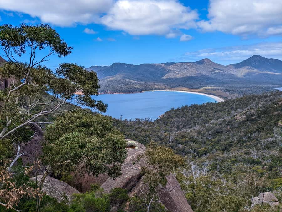 Hobart: Wineglass Bay & Freycinet Active Day Tour - Devil’s Corner Winery: The Easygoing End to a Big Day