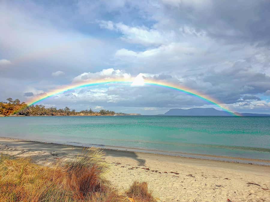Hobart: Wineglass Bay, Freycinet Park, and Richmond Tour - Freycinet National Park time: more than one photo stop