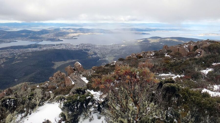 Kunanyi & Mt Wellington Explorer Bus: One-Way Bus Pass - Who This One-Way Bus Is Best For