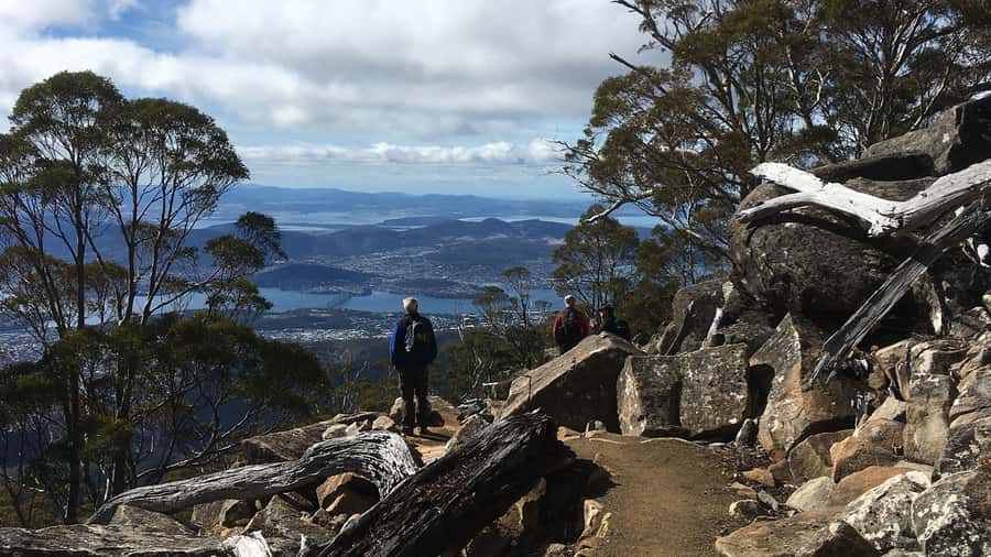 Kunanyi & Mt Wellington Explorer Bus: One-Way Bus Pass - One-Way Up Kunanyi/Mt Wellington From Hobart’s Waterfront