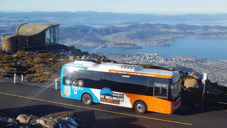 Kunanyi & Mt Wellington Explorer Bus: One-Way Bus Pass - Your Return Down: The 13.6km Walk vs. the ~1-Hour MTB Ride