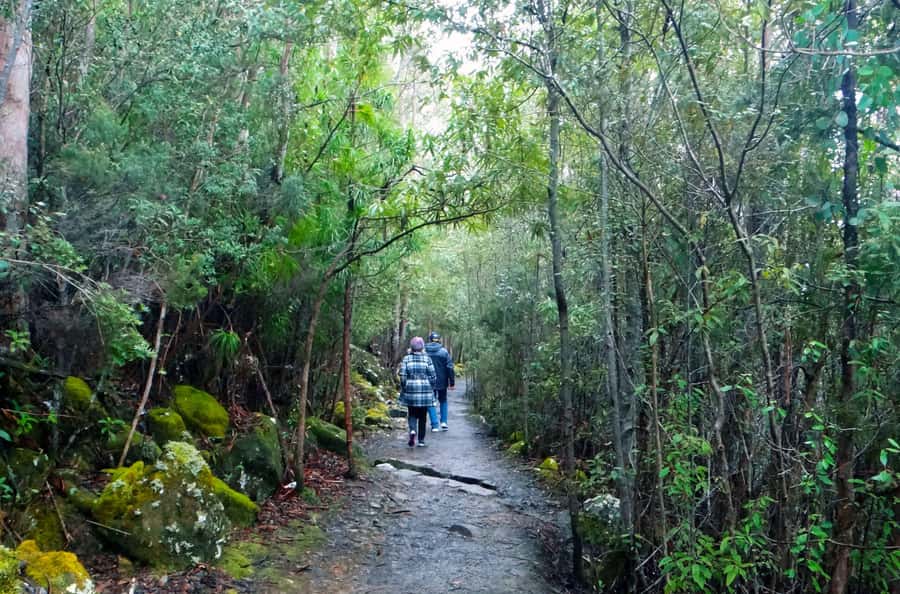 Kunanyi & Mt Wellington Explorer Bus: One-Way Bus Pass - Wellington Park Tracks: Using the Map Instead of Guessing