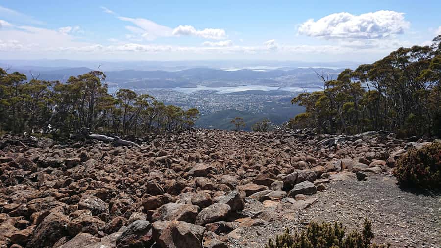 Kunanyi & Mt Wellington Explorer Bus: One-Way Bus Pass - Price and Value: $24 for Summit Access You Don’t Have to Earn