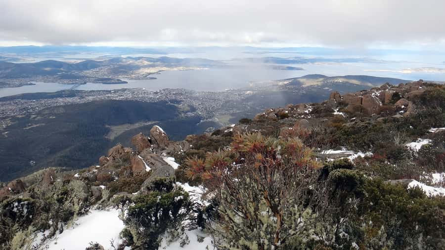 Kunanyi & Mt Wellington Explorer Bus: One-Way Bus Pass - Bike Freight, Loading Time, and the 4-Bike Limit