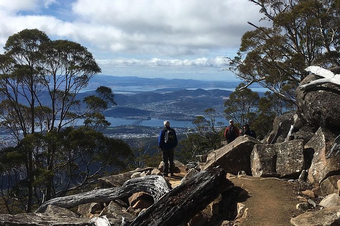 kunanyi/Mt Wellington Explorer Bus - One Way Tour - The summit at The Pinnacle: what you get before you head down