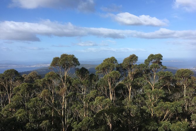 kunanyi/Mt Wellington Explorer Bus - One Way Tour - What to bring (and what to plan for) on Mt Wellington