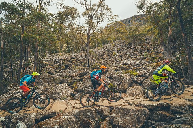 kunanyi/Mt Wellington Explorer Bus - One Way Tour - Getting to the meeting point at Pinnacle Road (Wellington Park)