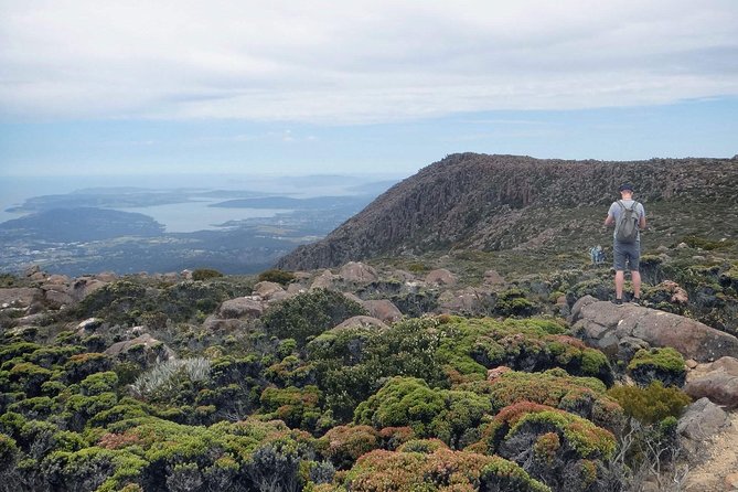 kunanyi/Mt Wellington Explorer Bus- Return Tour (2.5 hours) - Why kunanyi/Mt Wellington feels worth the bus ride