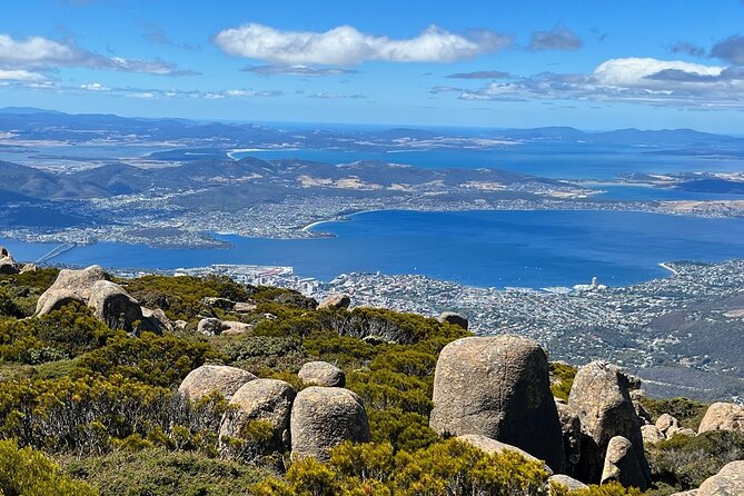 kunanyi/Mt Wellington Explorer Bus- Return Tour (2.5 hours) - Boarding comfort vs real-world bus basics