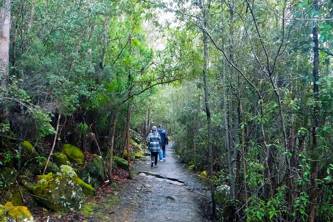 kunanyi/Mt Wellington Explorer Bus- Return Tour (2.5 hours) - The summit stop at Mt Wellington: where the views do the talking