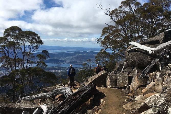 kunanyi/Mt Wellington Explorer Bus- Return Tour (2.5 hours) - Fern Tree Park: an easy hop-off with toilets and shaded walking starts