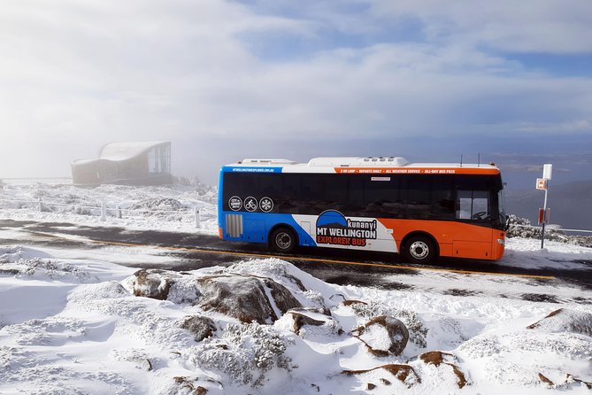 kunanyi/Mt Wellington Explorer Bus- Return Tour (2.5 hours) - The Springs: picnic-friendly and perfect for track starters