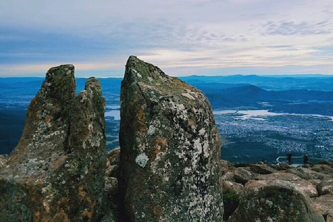 kunanyi/Mt Wellington Tour and MONA Admission - Mt Wellington: the summit run you’ll either love or remember