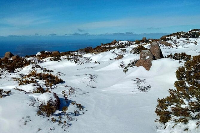 kunanyi/Mt Wellington Ultimate Experience Tour from Hobart - Guides, comfort, and the small details that matter