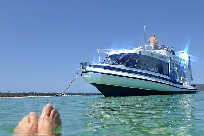 Maria Island Cruise and Guided Walk Day Tour with Lunch and Drinks - The Boat Cruise: Where the Day Really Gets Moving