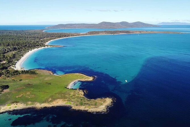 Maria Island Ferry - Hobart Bus Connection (Return Service) - Triabunna Marina: what to do before the ferry
