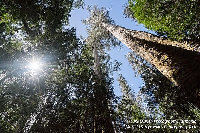 Mt Field and Styx Valley Photography Tour - Why Mt Field and Styx Valley are a camera-friendly combo