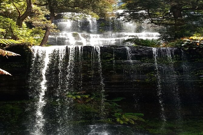 Mt Field National Park and Russell Falls from Hobart - Key takeaways before you go