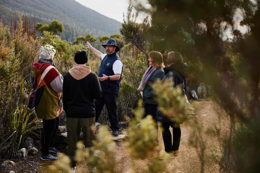 Mt Wellington Ultimate Afternoon Tour - From Brooke Street Pier to Kunanyi: a smooth way to get uphill