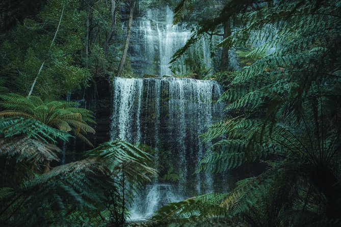 Peaks, Falls & Furry Locals: Mt. Field & the Derwent - Key highlights worth planning around