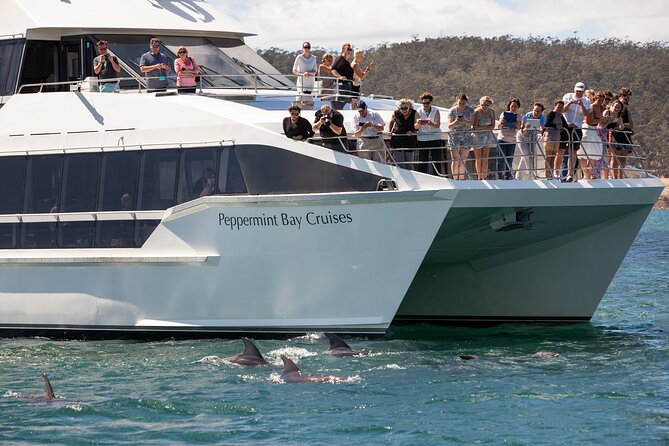 Peppermint Bay Cruise & Lunch - Key things you’ll notice on this cruise