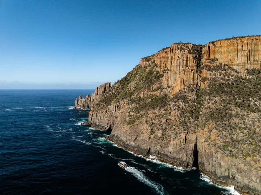 Port Arthur: Cape Raoul Wilderness Cruise - Key highlights worth fixing in your mind
