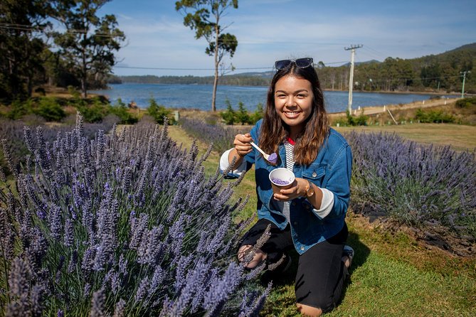 Port Arthur, Richmond and Lavender Active Day Tour - Waterfall Bay’s cliff-top track: a short walk with big views