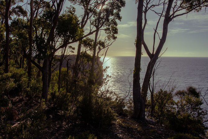 Port Arthur, Richmond and Tassie Devils Active Tour from Hobart - Getting moving: Pirates Bay, Eaglehawk Neck, and the Dogline area