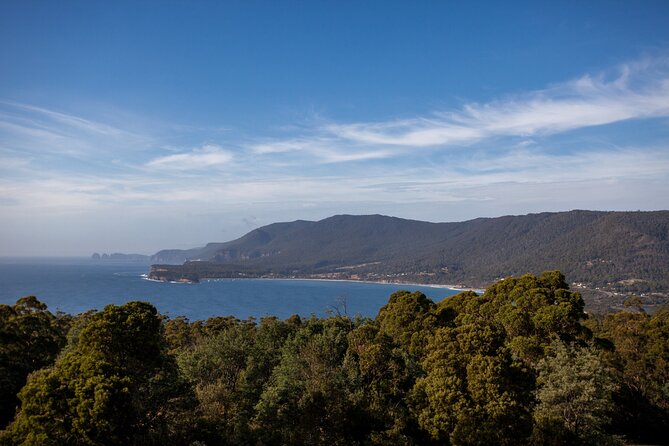 Port Arthur, Richmond & Tasman Peninsula Active Day Tour - Getting From Hobart to Tasman Peninsula: the 7:30am rhythm