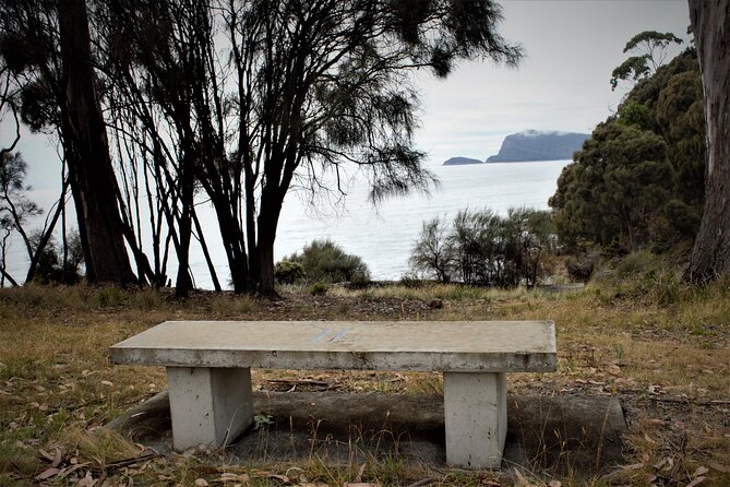 Private Bruny Island Discovery Tour - Private Bruny Island: what you actually gain with a small group