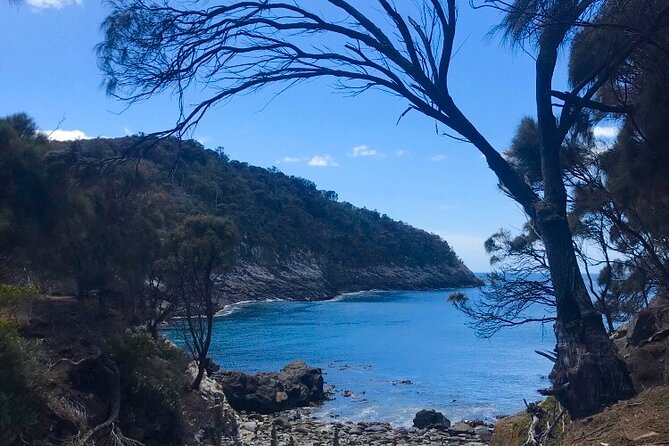 Private Bruny Island Discovery Tour - The Neck and Adventure Bay: the wildlife-focused heart of the day
