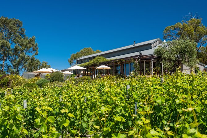 Richmond and Wine Tour - Stop 2: Pooley Wines (Belmont Lodge) for Heritage Cellar Door Tastings
