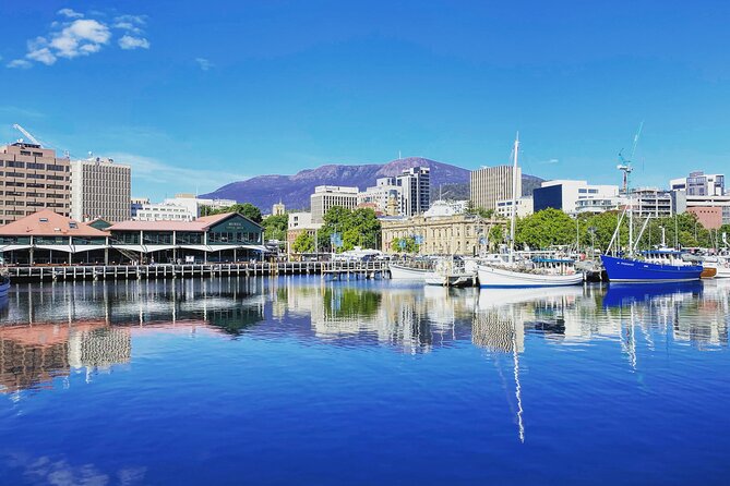 Shore Excursion: Hobart Highlights Day Tour - Bonorong Wildlife Sanctuary: the animal time you’ll remember
