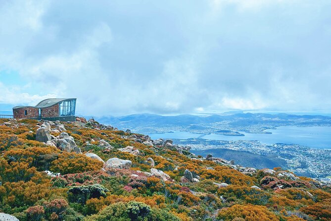 Shore Excursion: Hobart Wanderer - One-Day Tasmania Starter: How This Trip Fits a Cruise Day