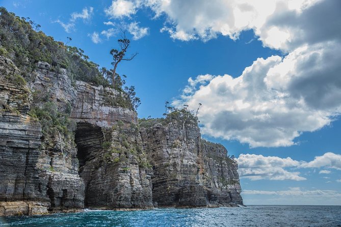 Shore Excursion - Port Arthur - Tasman Peninsula - Key things I’d clock before you go