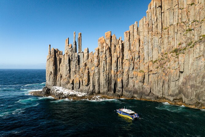 Shore Excursion - Port Arthur - Tasman Peninsula - Stop 2: Doo-lishus fish and chips and seafood—plan for the cash