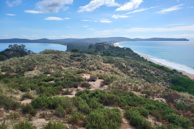 Signature Bruny Island Tour - Hobart & SE Tasmania - Key highlights to know before you go