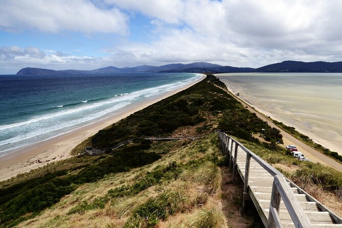 Signature Bruny Island Tour - Hobart & SE Tasmania - Price and Value: Why $258.21 Can Make Sense Here