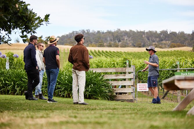 Signature Saturday Wine Tour - Stop 4: The Wicked Cheese Co. for an Award-Winning Finish