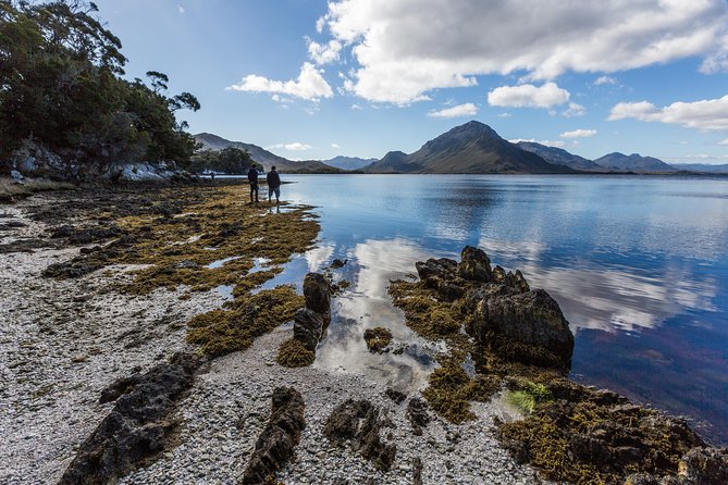 Southwest Tasmania Wilderness Experience: Fly Cruise and Walk Including Lunch - Lunch and timing: built into the remote rhythm