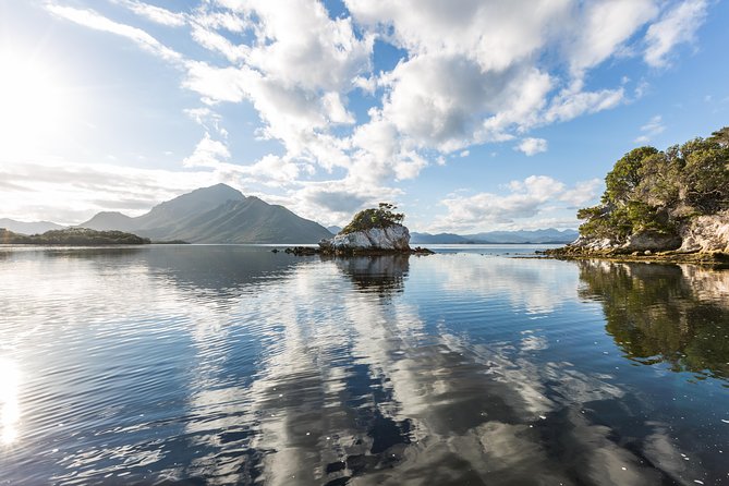 Southwest Tasmania Wilderness Experience: Fly Cruise and Walk Including Lunch - Small group size: less waiting, more attention