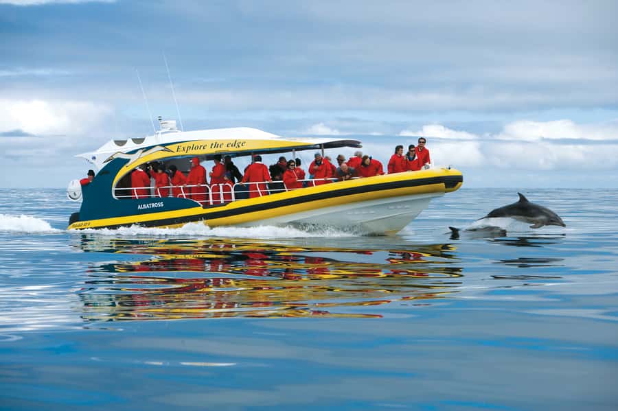 Tasman Peninsula Day Trip with Cruise & Devils from Hobart - Key takeaways before you go