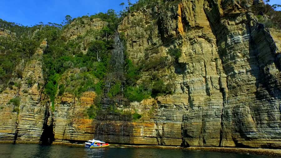 Tasman Peninsula Day Trip with Cruise & Devils from Hobart - Morning tea on the Tasman Peninsula: a warm-up before you go to sea