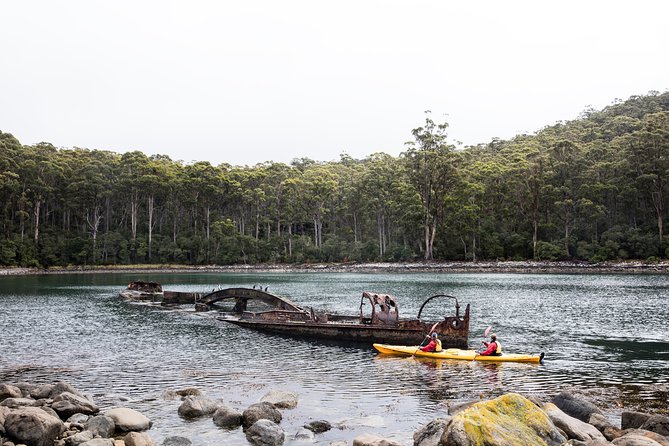 Tasman Peninsula full day kayaking tour - Why this Tasman Peninsula kayak day is so special