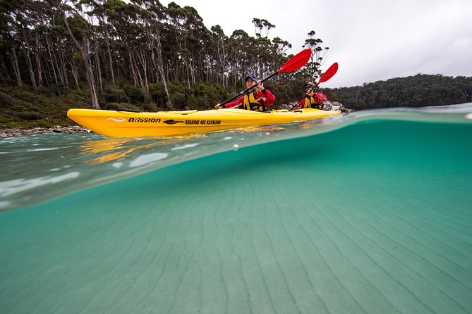 Tasman Peninsula full day kayaking tour - The shipwreck crossing: history you can paddle over
