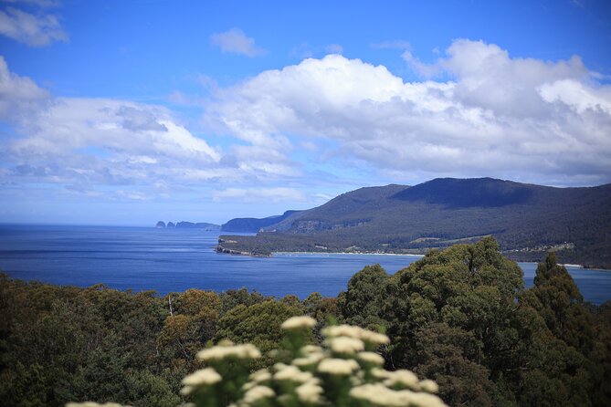 Tasman Peninsula Small-Group Guided Tour From Hobart - Pickup and timing: the small-group comfort factor