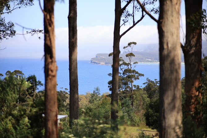 Tasman Peninsula Small-Group Guided Tour From Hobart - Remarkable Cave: the wet-steps moment that many people remember